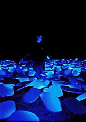 Johan Gaellman; The Lily Pond, 2003, Original Installation Indoor, 400 x 250 cm. Artwork description: 241 A room with moving sheets of white cardboard hanging from ceiling in invisible threads. The billowy surface is highlighted with blacklite and set in motion by hidden fans. It is peaceful to watch. ...