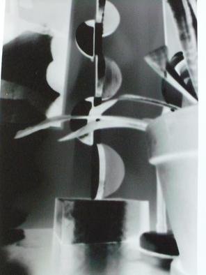 Donald Mccray; Totem, 2008, Original Photography Other, 8 x 10 inches. Artwork description: 241  Home made pin hole camera obscures still life study. ...