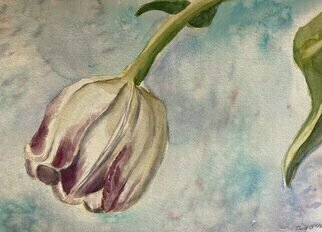Donna Gallant, 'Bowing Tulip', 2014, original Watercolor, 15 x 11  inches. Artwork description: 2103 Some Tulips start to bow their heads as they grow and as the petals become heavy. This delightful watercolour portrays this fact. ...