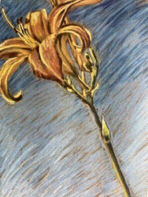 Donna Gallant; Day Lily 1, 1998, Original Pastel, 19 x 25 inches. Artwork description: 241 The life of a day lily is short but they remind me of a triumph blowing. Perhaps itaEURtms celebrating itaEURtms brilliant life. ...