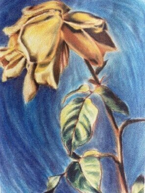 Donna Gallant; Dying Rose, 1998, Original Pastel, 22 x 30 inches. Artwork description: 241 Even through the rose is coming to the end of life life it still has grace and dignity. ItaEURtms like itaEURtms bowing to the sun. ...