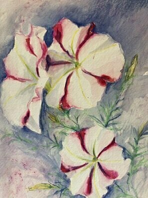 Donna Gallant, 'Forever Duelled 2', 2016, original Watercolor, 9 x 12  inches. Artwork description: 2103 These delightful two toned petunias reminded me of candy stripes. ...