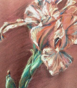 Donna Gallant; Peach Iris, 2000, Original Pastel, 13 x 20 inches. Artwork description: 241 This flower is a very usual colour and leads itself to the warmer side of the colour wheel. The green stem adds the sparkle to the composition. ...