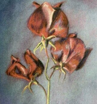 Donna Gallant; Red Redbox Sweet Pea, 2000, Original Pastel, 19 x 25 inches. Artwork description: 241 Such a delightful smell as well as petals that look like they would fly away. ...