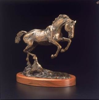 Donna Bernstein; Buck Equestrian Bronze, 2011, Original Sculpture Bronze, 8 x 15 inches. Artwork description: 241 equine, bronze, sculpture, lost wax, cast bronze, tabletop, horse, equestrian, horses...