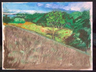 Don Schaeffer; Coindre Hall, 2010, Original Pastel Oil, 11.5 x 14 inches. Artwork description: 241   Semi rural house, long island, autumn color    Long Island, Coindre Hall, scenic,    ...