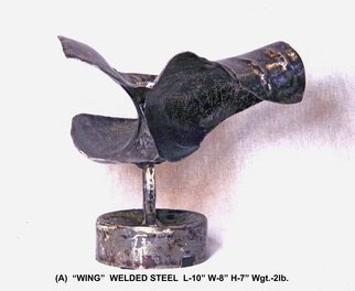 Bob Dornberg, 'WING  Copyright', 2016, original Sculpture Steel,    inches. Artwork description: 3495  FLORIDA, ARTIST, SCULPTURE, NEW SMYRNA BEACH, ABSTRACT, STEEL, ...