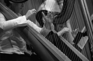 Ellen Rosenberg; Multiple Harps, 2006, Original Photography Silver Gelatin, 20 x 16 inches. 