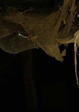 Emilio Merlina, 'Spider Web', 2007, original Photography Color, 15 x 20  x 2 cm. 