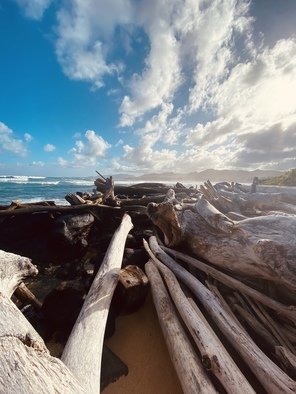 Erin Montanarelli; Hawaiian Winds, 2021, Original Photography Other, 8 x 10 inches. Artwork description: 241 My first day on Kauai. Stepped foot onto the beach and the wind was blowing so hard, I slumped down to my knees and shot this from a lower angle. Quiet and explosive at the same time. ...