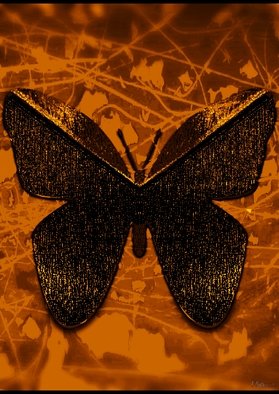 Rui Sousa; Butterfly, 2017, Original Digital Art, 100 x 175 mm. 