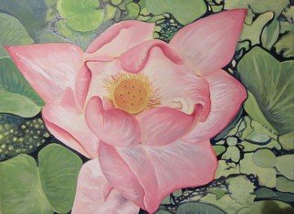 Cyr Antoine Hubert; Lotus, 2016, Original Painting Oil, 50 x 42 cm. Artwork description: 241 Lotus en fleur...