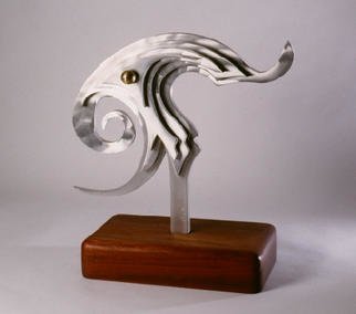 Gary Brown; Eye Of The Storm, 2001, Original Sculpture Aluminum, 16 x 17 inches. Artwork description: 241 The inspiration for this piece is a photograph take from the space shuttle...