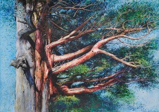 Gyuhye Yeon; Yew Tree Of Korea, 2015, Original Painting Other, 76 x 56 cm. Artwork description: 241 Painting, Mixed Mediaon Paper - Cotton2015 - 2020Biafarin Artwork Code: AW127693956It s my personal favorite tree. personally like. It is a yew tree located in Deokyusan Mountain  1,614 meters above sea level in Korea and lives only in very high places. It means a ...