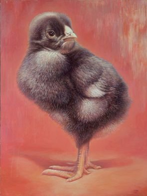 Hans Droog; Baby Chick Eleanor, 2015, Original Painting Oil, 50 x 36 inches. Artwork description: 241  Portrait of a Dominque Baby Chicken, a few days old.  ...