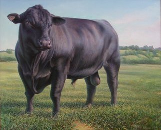 Hans Droog; Black Angus Bull, 2008, Original Painting Oil, 30 x 18 inches. Artwork description: 241  Portrait of Black Angus Bull in hilly grassland, commissioned by 