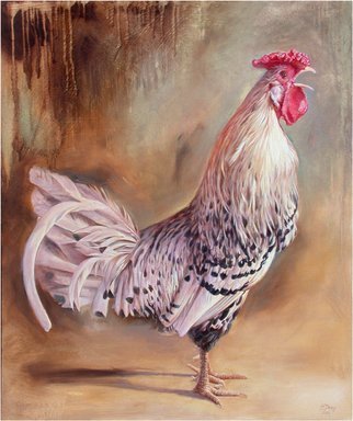 Hans Droog; Crowing Rooster, 2004, Original Painting Oil, 24 x 30 inches. Artwork description: 241  Oil painting of a crowing Hamburger Rooster ...