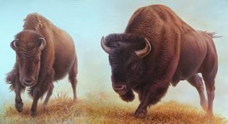 Hans Droog; Buffaloes, 2020, Original Painting Oil, 84 x 46 inches. Artwork description: 241 Yellowstone Park two panel scene with two buffaloes. ...