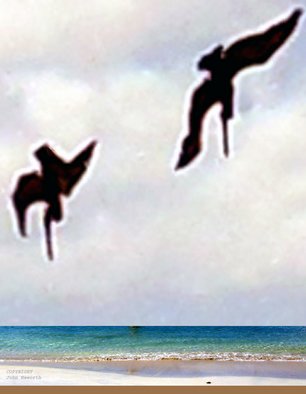 John Haworth; Pelicans, 2011, Original Digital Art, 22.5 x 30.5 inches. Artwork description: 241  Digitally modified image from several photos of diving pelicans in Tortola, printed on heavy weight fine art paper. ...