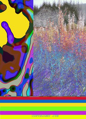 John Haworth; Wild Borders Autumn, 2010, Original Digital Art, 32 x 23 inches. Artwork description: 241   Digitally modified image from photos . Abstract work developed in photoshop.  Printed on heavy weight fine art paper.             ...