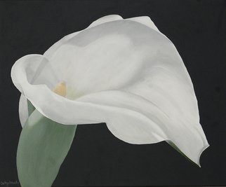 Cathy Savels; Arum Lily Painting White ..., 2016, Original Painting Acrylic, 55 x 46 cm. Artwork description: 241  A really sculptural flower, I could not resist painting this arum lily. In soft gray, white and green, this is a painting that will fit any interior decor.TITLE Arum LilySIZE 55 x 46cms 22 x 18Acrylic on CanvasThe sides of the canvas are ...