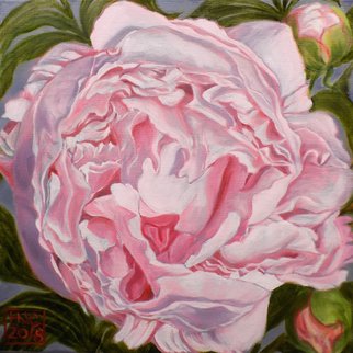 H. N. Chrysanthemum; Peony, 2018, Original Painting Oil, 14 x 14 inches. Artwork description: 241 original oil painting, pink, peony, flower, floral...