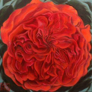 H. N. Chrysanthemum; Quartered Rose, 2018, Original Painting Oil, 14 x 14 inches. Artwork description: 241 original oil painting, rose, red, flower, floral...