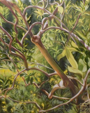 H. N. Chrysanthemum; Landscape Viii, 2017, Original Painting Oil, 16 x 20 inches. Artwork description: 241 Landscape Oil Painting...
