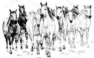 Igor Moshkin; The Herd Of Horses, 2008, Original Drawing Crayon, 40 x 30 cm. Artwork description: 241 68 5000Risunok karandashom, bumaga, dikaya priroda,  Tabun loshadey , loshadiDrawing with a pencil, paper, wild nature,  The Herd of Horses , horses, print...