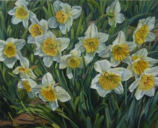 Laurie Ihlenfield; Daffodils, 2008, Original Painting Oil, 30 x 24 inches. 