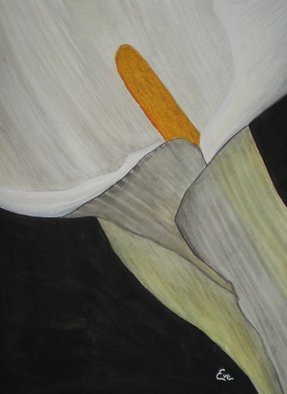 Eve Co, 'Calla Lily Closeup', 2010, original Watercolor, 9 x 12  x 0.5 inches. Artwork description: 1911  Calla Lily Closeup - This painting depicts a calla lily with a black background. The light seems to shine through the lily in its simplicity.  This painting is NOW for sale, I donated it to the Easter Seals Society, in the hopes that maybe they can use it ...