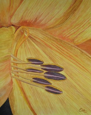 Eve Co, 'Dreamland Lily Closeup', 2010, original Watercolor, 9 x 12  x 0.5 inches. Artwork description: 1911  Dreamland Lily Closeup - This painting depicts a very close up view of the lily' s Stamens and Antlers   The main body of the work is the Stamens with the background detailing the petals close up. This painting is NOW for sale, I donated it to the Easter ...