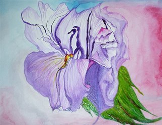 Eve Co, 'Lilyorchid', 2007, original Watercolor, 13 x 10  x 1 inches. Artwork description: 1911  LilyorchidWindsor & Newton WatercolorsStrathmore Watercolor Paper ...