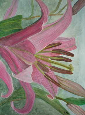 Eve Co, 'Pink Lily', 2010, original Watercolor, 9 x 12  x 0.5 inches. Artwork description: 1911 Pink Lily - This painting depicts a pink lily with a foggy background. The lily bursts forth reaching for the light in the early misty morning. This painting is not for sale, I donated it to the Easter Seals Society, in the hopes that maybe they can use ...