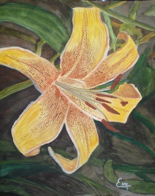 Eve Co, 'Tigerish Lily', 2010, original Watercolor, 9 x 12  x 0.5 inches. Artwork description: 1911  Tigerish Lily - This painting depicts a pale asiatic yellow star tiger lily with a dark background.  The detail of the lily bursts forth from the darker background. This painting is NOW for sale, I donated it to the Easter Seals Society, in the hopes that maybe they ...