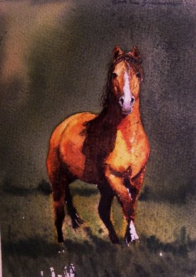 Ivan Grozdanovski; Proud Stallion, 2013, Original Watercolor, 18 x 13 cm. Artwork description: 241    proud stallion            mrtva priroda      ...