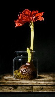 Jan Teunissen; Amaryllis In Glass Jar, 2018, Original Painting Oil, 40 x 70 cm. Artwork description: 241 flower glass Amaryllis...