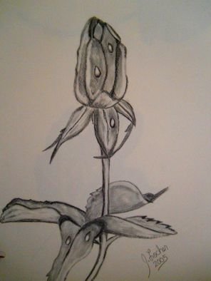 Jeanette Locher; Graphite Rose, 2004, Original Drawing Graphite, 8 x 10 inches. Artwork description: 241 simple rose drawing...