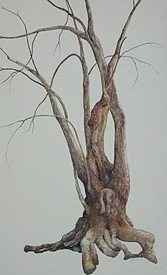 Jennifer E. Miller; Ironwood, 2005, Original Watercolor, 13 x 22 inches. Artwork description: 241 On the eroded bank of the Eno River, trees such as this one cling for life. ...