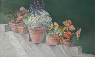 Judith Fritchman, 'Summer Wall', 2003, original Painting Oil, 21 x 35  x 1 inches. Artwork description: 3099 In summer, the wall next to our house is covered with pots of blooming flowers. ...
