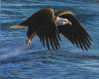 James Hildebrand; Catch Of The Day, 2016, Original Painting Oil, 10 x 8 inches. Artwork description: 241 Bald Eagle fishing...