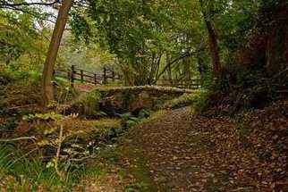 Joan Shannon; Roe Valley Woodland, 2011, Original Photography Color, 35 x 27 mm. Artwork description: 241  Roe, valley, wood, woods, woodland, ireland, country, park, leaves, leaf, bridge, stone  ...