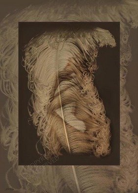 John Neville Cohen; Nude And Feather, 2009, Original Photography Color, 107 x 150 cm. Artwork description: 241 Nude, warmth, love, fantasy, surreal, Feather, beige, brown, John Neville Cohen,     ...