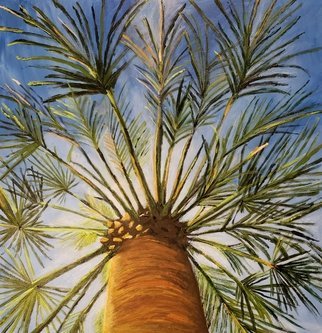 Jo Allebach; Palm Tree, 2018, Original Painting Acrylic, 24 x 24 inches. Artwork description: 241 Palm Tree, Blue Sky, Unique view, View from underneath palm tree, Looking up at palm tree...