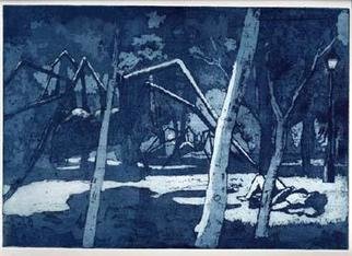 John Booth; Dream In The Woods, 2015, Original Printmaking Etching, 11 x 8 inches. Artwork description: 241 Dream In The Woods is one of a series of landscapes inspired by my dreams. The inscrutable workings of the subconscious provide a wealth of imagery for my work. In this series I choose dreams that have inexplicable meanings; the ambivalent nature of the imagery allows the ...