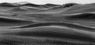 Jon Glaser, 'The Hills Speak II', 2016, original Photography Black and White, 46 x 23  x 1 inches. Artwork description: 1911  This photograph was taken in a south east washington in a region called the Palouse. It is known as 