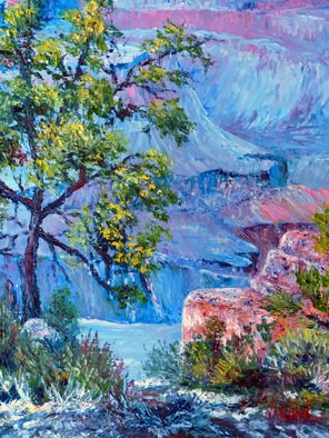 Julie Van Wyk, 'grand canyon', 2011, original Painting Oil, 16 x 20  x 1 inches. 