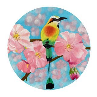 Kalpana  Dhiman Sharma; Mot Mot Bird, 2021, Original Painting Acrylic, 12 x 12 inches. Artwork description: 241  Mot Mot bird Painting, Original Artwork, Acrylic colours, Round canvas, Wall Art , 12 x 12 inches, gift, interior design, floral, home decor, cherry blossom. ...