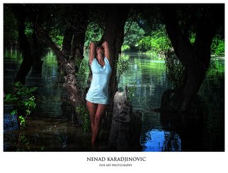 Nenad Karadjinovic; No : 02, 2010, Original Photography Color, 100 x 70 cm. 