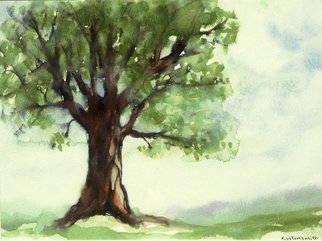 Diane Kastensmith Bradbury; Tree 3, 2008, Original Watercolor, 12 x 9 inches. Artwork description: 241  This is an original transparent watercolor. The subject is a tree painted in a soft, luminous background. Please contact me by email with questions. ...